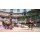 XBOX ONE PLANTS VS ZOMBIES GARDEN WARFARE 2 - 282108 - zdjęcie 2